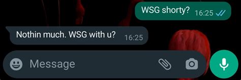 wsg mean in text|WSG Meaning in Text, and How to Use It in Text Messages